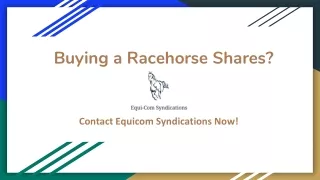 Buying a Racehorse Shares, Contact Equicom Syndications!