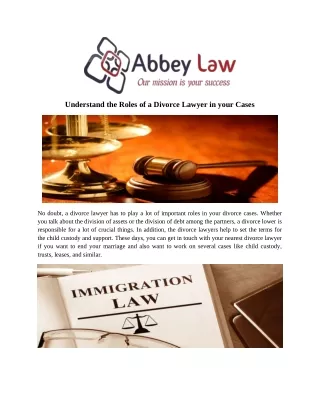 understand the roles of a divorce lawyer in your