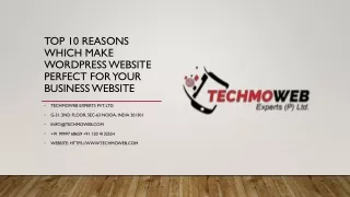 Top 10 Reasons which make WordPress website perfect for your Business Website