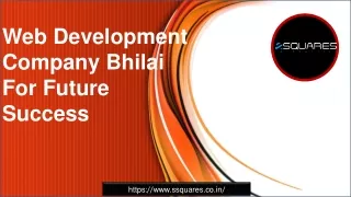 Web Development Company Bhilai For Future Success