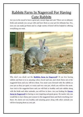 rabbits farm in nagercoil for having cute rabbits