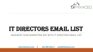 Maximize your Marketing ROI with IT Directors Email List.