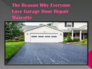 The Reason Why Everyone Love Garage Door Repair Mascotte.