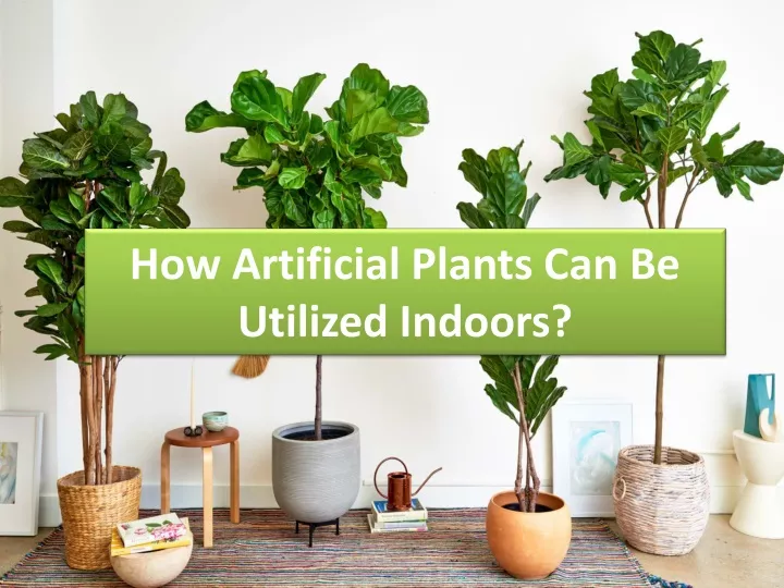 how artificial plants can be utilized indoors