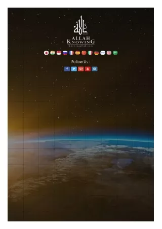 follow us
