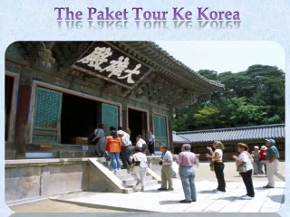 The Paket Tour Ke Korea
