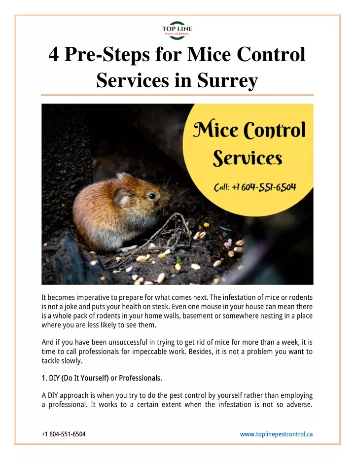 4 pre steps for mice control services in surrey