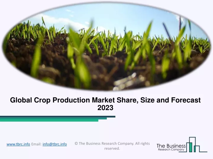 global crop production market share size
