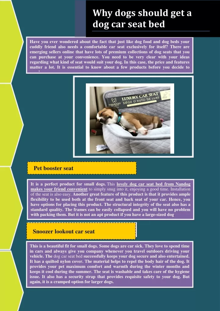 why dogs should get a dog car seat bed