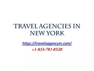Travel Agencies in New York