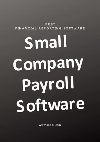 Small Company Payroll Software | Best Financial Reporting Software