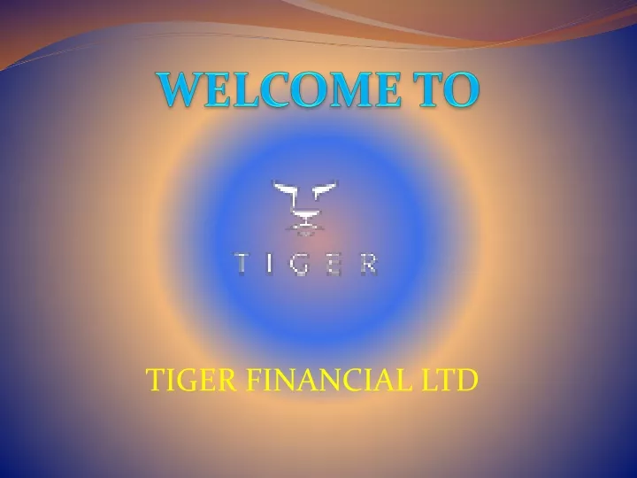 tiger financial ltd