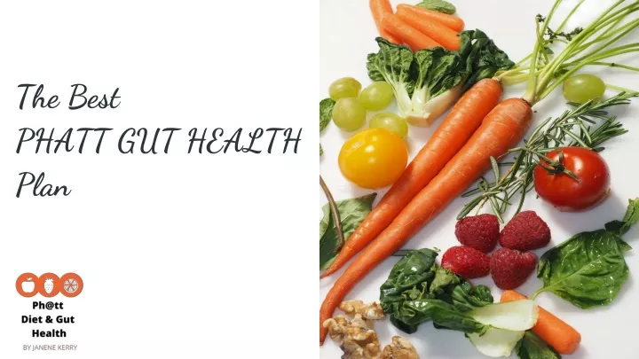 the best phatt gut health plan