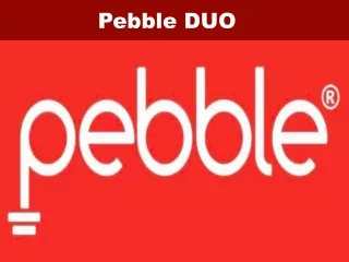 Pebble duo wireless earphone