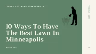 10 ways to have the best lawn in Minneapolis!