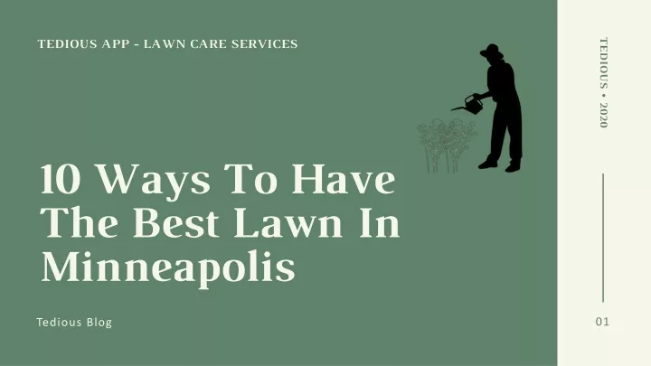 10 ways to have the best lawn in minneapolis