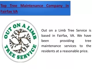Hire The Best Tree Pruning services in Fairfax, VA
