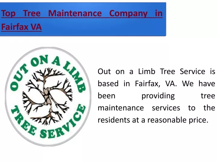 top tree maintenance company in fairfax va