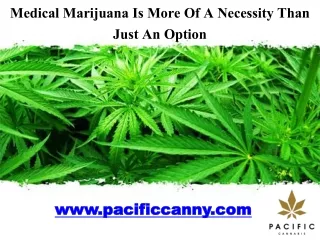 Medical Marijuana Is More Of A Necessity Than Just An Option