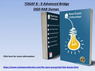 togaf 8 9 advanced bridge