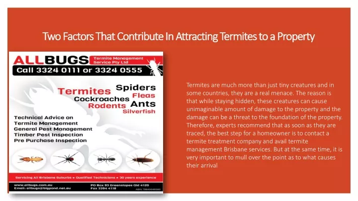 two factors that contribute in attracting termites to a property