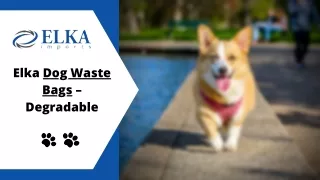 Biodegradable Dog Poop Bags Australia