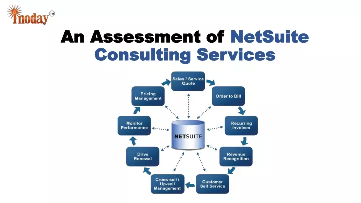 an assessment of netsuite consulting services