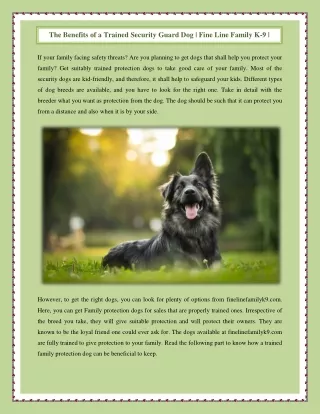 The Benefits of a Trained Security Guard Dog | Fine Line Family K-9 |