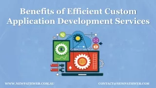 benefits o f efficient custom application