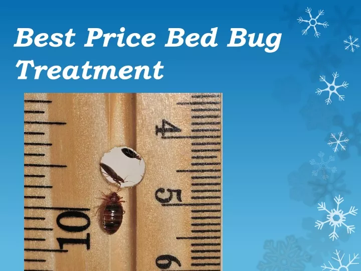 best price bed bug treatment