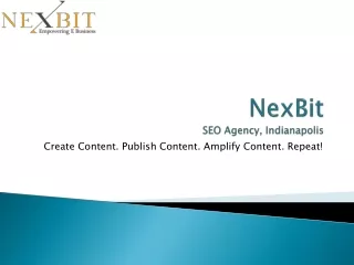 Get in Touch with the Finest SEO Company in Indianapolis | NexBit