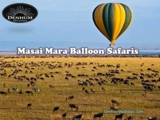 Masai Mara Balloon Safaris