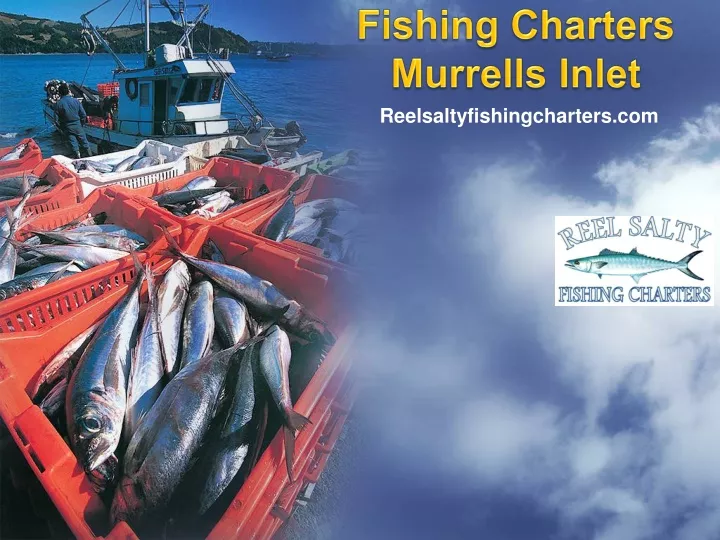 fishing charters murrells inlet