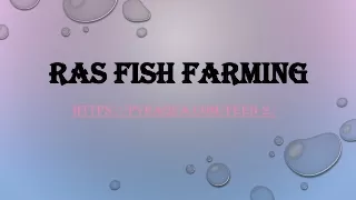ras fish farming
