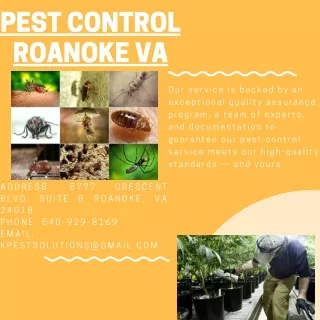 pest control roanoke va