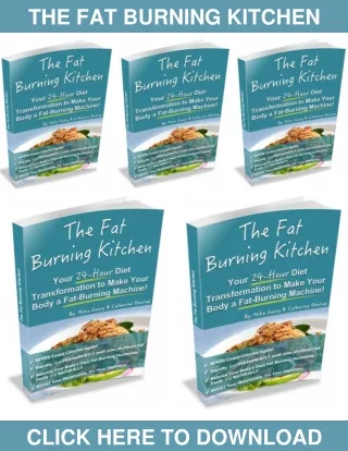 Fat Burning Kitchen PDF, eBook by Mike Geary