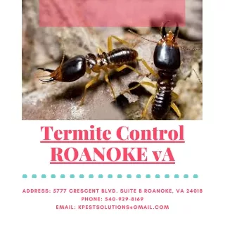 termite control roanoke va
