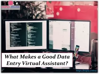 What Makes a Good Data Entry Virtual Assistant ?