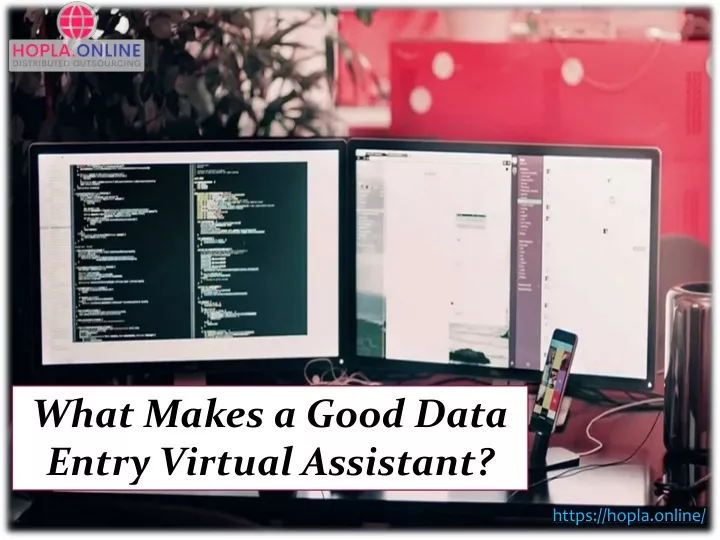 what makes a good data entry virtual assistant