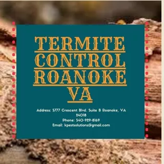 termite control roanoke va