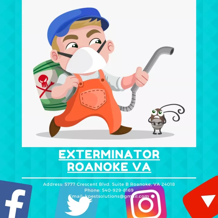 exterminator roanoke va