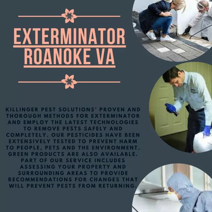 exterminator roanoke va