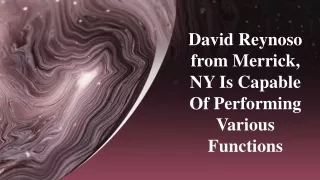 David Reynoso from Merrick, NY Is Capable Of Performing Various Functions