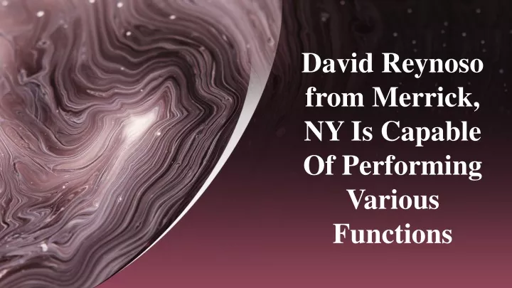 david reynoso from merrick ny is capable of performing various functions
