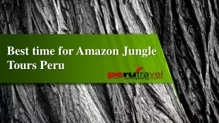 Best time for Amazon Jungle Tours Peru