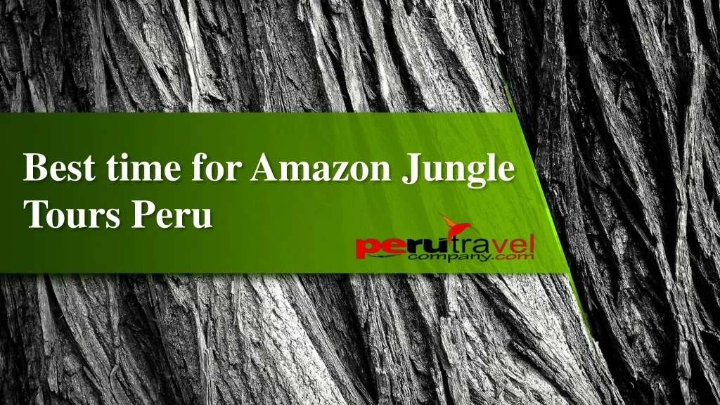 PPT - Best time for Amazon Jungle Tours Peru PowerPoint Presentation ...