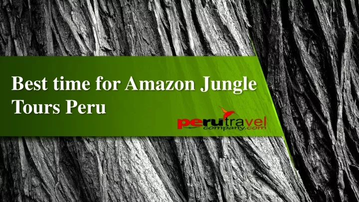 best time for amazon jungle tours peru