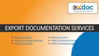 What Type of Experience Makes Exdoc a Preferred Export Documentation Expert?