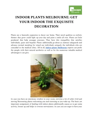 Indoor plants Melbourne: get your indoor the Exquisite decoration