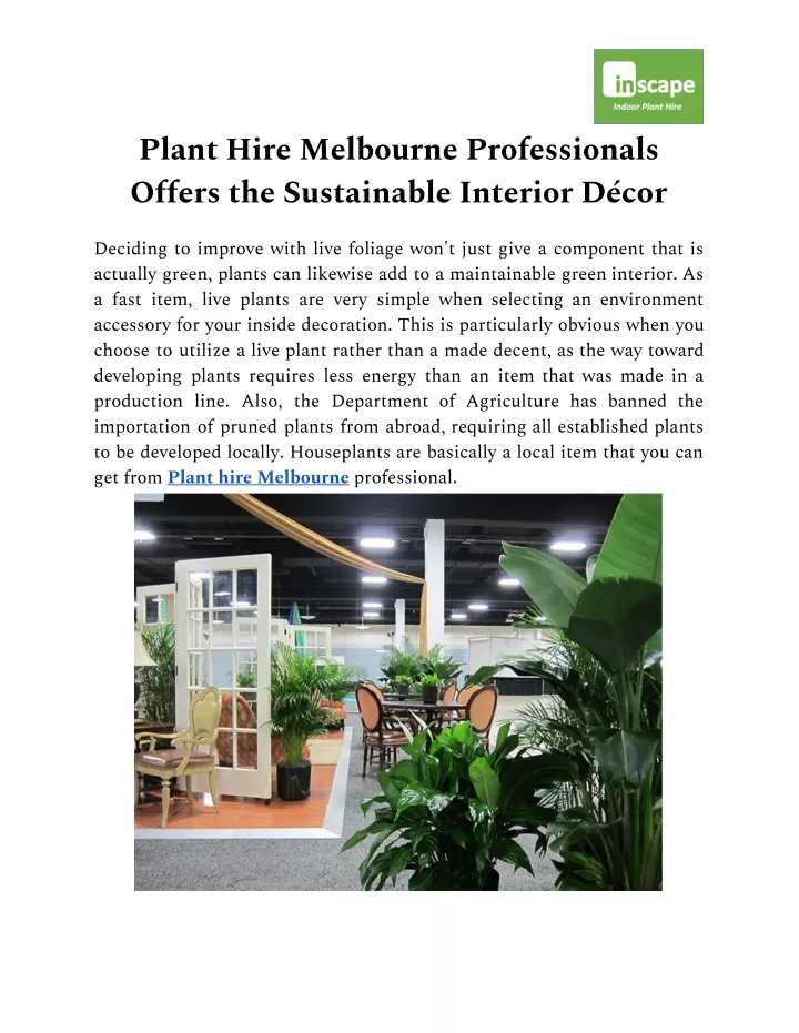 plant hire melbourne professionals offers